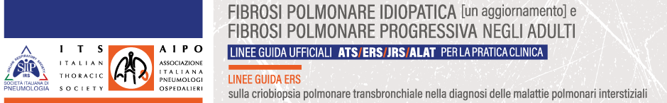 BANNER_HP_ALTA_SLIDE_KIT_E_LINEE_GUIDA